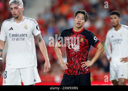 Palma de Mallorca, Spanien. Quelle: D. 18. August 2024. Takuma Asano (Mallorca) Fußball/Fußball : spanisches Spiel "La Liga EA Sports" zwischen RCD Mallorca 1-1 Real Madrid im Mallorca Son Moix Stadion in Palma de Mallorca, Spanien. Quelle: D . Nakashima/AFLO/Alamy Live News Stockfoto