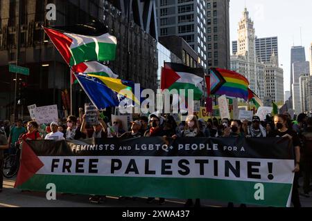 Chicago, Illinois, USA. August 2024. Demonstranten marschieren die Michigan Avenue hinunter, als sie gegen die Demokratische Partei am Vorabend der Demokratischen Nationalkonvention waren. (Kreditbild: © J. Daniel HUD/ZUMA Press Wire) NUR REDAKTIONELLE VERWENDUNG! Nicht für kommerzielle ZWECKE! Stockfoto