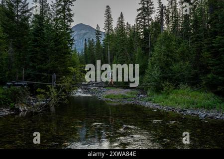 Der Wanderer Überquert Die Hängebrücke Über Den Kintla Creek Im Glacier National Park Stockfoto