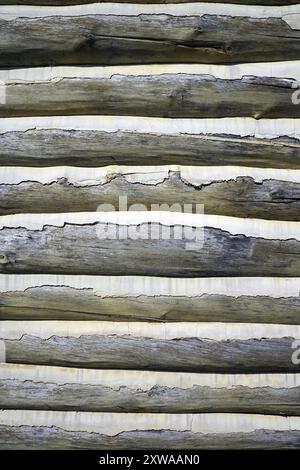 Detaillierte Ansicht des Holzes und alten Zements, die eine Wand einer Blockhütte aus dem frühen 20. Jahrhundert bilden Stockfoto