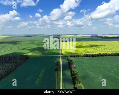 Raps-, Weizen- und Gerstenfelder, die von Schotterstraßen im ländlichen Saskatchewan durchzogen werden Stockfoto