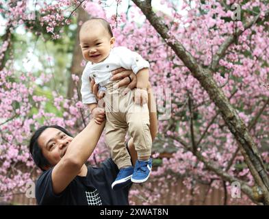 Sydney, Australien. August 2024. Ein Mann mit seinem Sohn posiert für ein Foto während des Sydney Cherry Blossom Festivals 2024 in den Auburn Botanic Gardens in Sydney, Australien, 19. August 2024. Quelle: Ma Ping/Xinhua/Alamy Live News Stockfoto