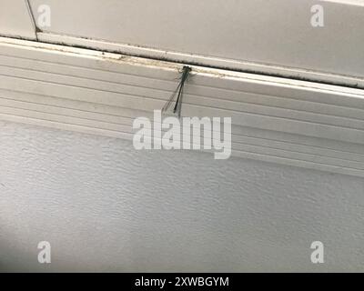 Östlicher Gabelschwanz (Ischnura verticalis) Insecta Stockfoto