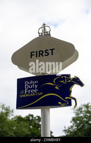 Ascot, Berkshire, Großbritannien. August 2024. Der Dubai Duty Free Shergar Cup auf der Ascot Racecourse, Berkshire. Kredit: Maureen McLean/Alamy Stockfoto