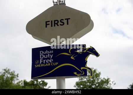 Ascot, Berkshire, Großbritannien. August 2024. Der Dubai Duty Free Shergar Cup auf der Ascot Racecourse, Berkshire. Kredit: Maureen McLean/Alamy Stockfoto