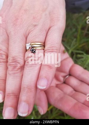 Achtfleckiger Flohkäfer (Omophoita cyanipennis) Insecta Stockfoto