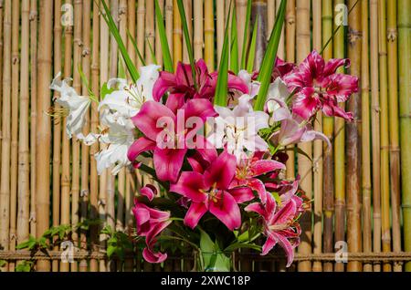 Bouquet de Lys rouge, Rosen und Blancs, Lilium Palazzo, rouge Marbré, Red Flash, blanc Moiré Rose et Casablanca (jardin du ruisseau de léglise 2024) Stockfoto