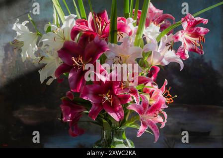 Bouquet de Lys rouge, Rosen und Blancs, Lilium Palazzo, rouge Marbré, Red Flash, blanc Moiré Rose et Casablanca (jardin du ruisseau de léglise 2024) Stockfoto