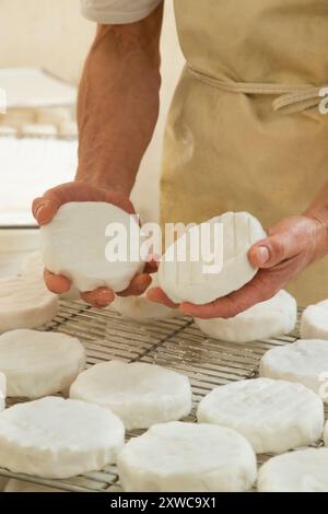 Villers-sur-Auchy (Nordfrankreich): Cheesemonger Jean-Marie Beaudoin. Herstellung und Verkauf von ökologischem Bauernkäse. Rohmilchkäse ‚Fontenot‘ Stockfoto