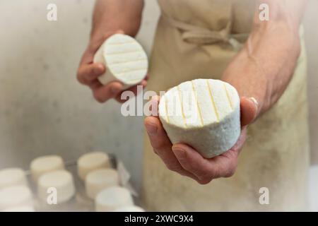 Villers-sur-Auchy (Nordfrankreich): Cheesemonger Jean-Marie Beaudoin. Herstellung und Verkauf von ökologischem Bauernkäse. Rohmilchkäse ‚Bray Picard‘ Stockfoto