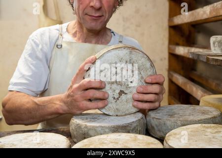 Villers-sur-Auchy (Nordfrankreich): Cheesemonger Jean-Marie Beaudoin. Herstellung und Verkauf von ökologischem Bauernkäse. Rohmilchkäse „Tomme au foin Stockfoto