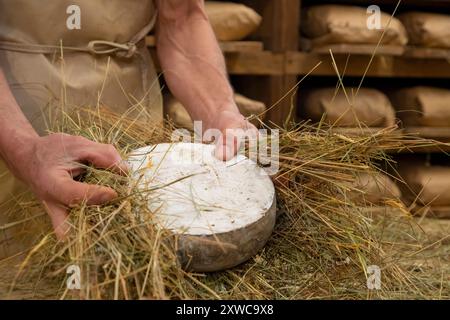 Villers-sur-Auchy (Nordfrankreich): Cheesemonger Jean-Marie Beaudoin. Herstellung und Verkauf von ökologischem Bauernkäse. Rohmilchkäse „Tomme au foin Stockfoto