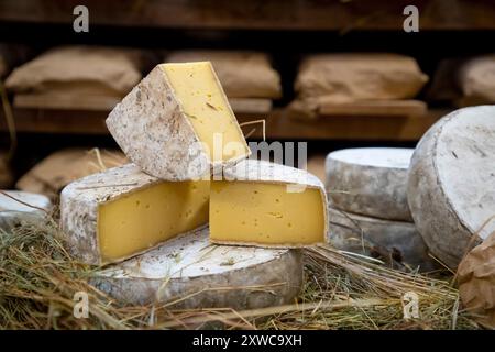 Villers-sur-Auchy (Nordfrankreich): Cheesemonger Jean-Marie Beaudoin. Herstellung und Verkauf von ökologischem Bauernkäse. Rohmilchkäse „Tomme au foin Stockfoto