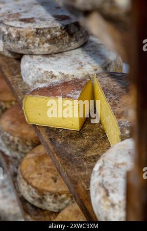 Villers-sur-Auchy (Nordfrankreich): Cheesemonger Jean-Marie Beaudoin. Herstellung und Verkauf von ökologischem Bauernkäse. Rohmilchkäse „Tomme au cidr Stockfoto