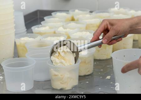 Villers-sur-Auchy (Nordfrankreich): Cheesemonger Jean-Marie Beaudoin. Herstellung und Verkauf von ökologischem Bauernkäse. Abtropfen von Käse Stockfoto