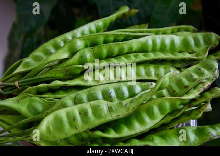 Nahaufnahme von Bitterbohnen zum Verkauf auf dem Markt Stockfoto