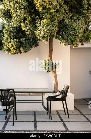 Zwei schwarze Stühle, Tisch und Baum auf einer Terrasse in Santorin Stockfoto