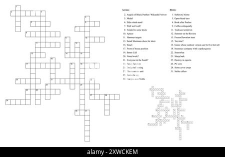 Kreuzworträtsel-Spiel mit Hinweisen und Lösung. Stock Vektor