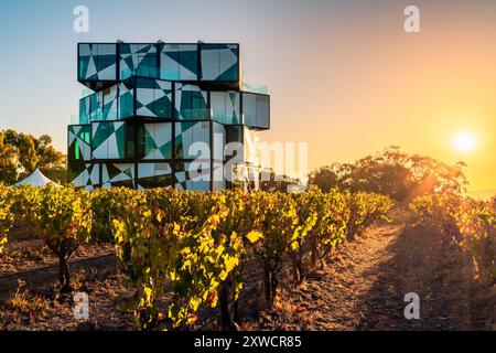 McLaren Vale, Südaustralien - 4. April 2021: Das ikonische Weingut d'Arenberg Cube bei Sonnenuntergang zwischen Mourvèdre-Rebstöcken. Stockfoto