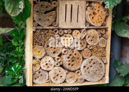 Nahaufnahme eines Insektenhotels im Garten. Stockfoto