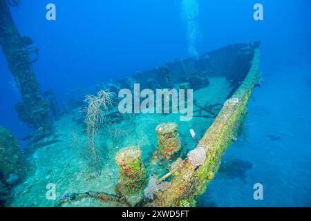 Schiffswrack in Honduras, Roatan, El Aguila Stockfoto