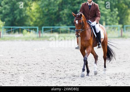 Reiter in formeller Kleidung, der an einem sonnigen Tag in einer Reitarena im Freien anmutig ein Pferd trabt Stockfoto