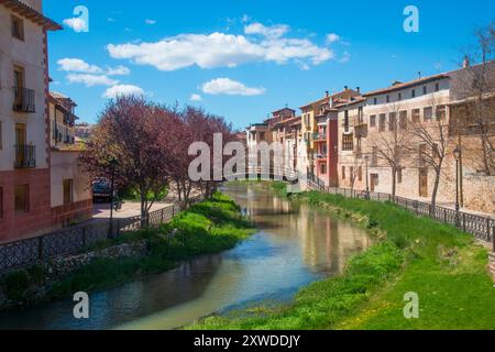 Ufer des Flusses Gallo. Molina de Aragon, der Provinz Guadalajara, Kastilien-La Mancha, Spanien. Stockfoto