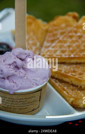 Nahaufnahme eines Tellers mit handgemachtem Eis und Waffeln Stockfoto