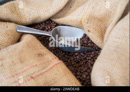 Frisch geröstete Kaffeebohnen in einem traditionellen Kaffeebeutel aus Naturfasern, frisch gerösteten Kaffeebohnen, traditionellem Kaffeebeutel, Naturfasern, ru Stockfoto