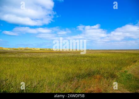 Weite Landschaft an der Küste Dänemarks mit Dünen im Hintergrund. Hochwertige Fotos Stockfoto