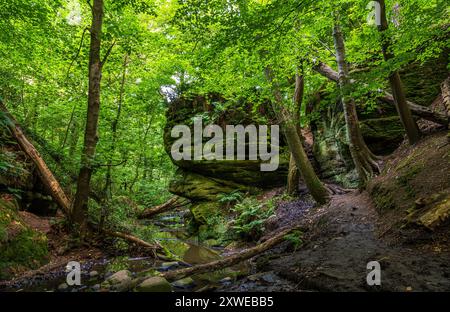 Stufen führen hinunter durch die Felswände vom Alter Stone zur Schlucht in Kinaldy Burn Stockfoto