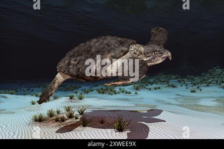 Prähistorische Riesenschildkröte Archelon Stockfoto