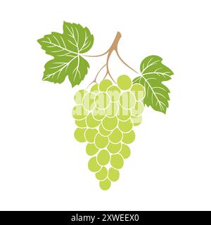 Traubenbündel mit grünen Beeren und Blättern auf weißem Hintergrund. Keine Kontur. Vektorabbildung Stock Vektor