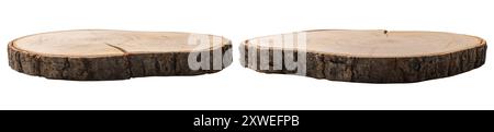 Zwei natürliche hölzerne Podeste, aus Baumstämmen geschnitten, isoliert auf weißem Hintergrund. Modell für Produktanzeige. Schneiden Sie den Sockel oder die Plattform aus. Leere Szene Stockfoto