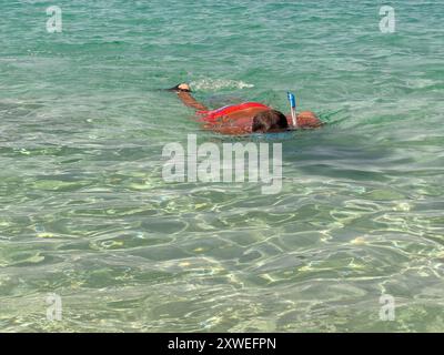 Mann schnorchelt in klarem Meerwasser. Stockfoto