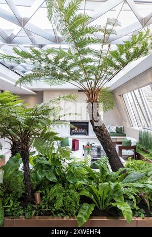Palmenhaus in luxuriösem, modernem britischen Haus. London, Großbritannien Stockfoto