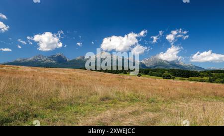 Sommer Natur - Blick auf die hohe Tatra - Slowakische Republik, Europa Stockfoto