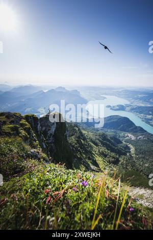 Blick auf den Gipfel und Gipfelkreuz der Himmelspforte von der Schafbergspitze im Salzkammergut im Sommer am 30.07.2024. // Blick auf Gipfel und Gipfelkreuz der Himmelspforte von der Schafbergspitze im Salzkammergut im Sommer am 30. Juli 2024. - 20240730 PD31307 Stockfoto