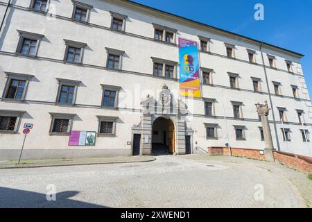 Linz, Österreich. August 2024. Panoramablick auf das Schloss auf dem Hügel im Stadtzentrum Stockfoto
