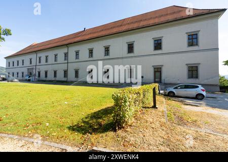 Linz, Österreich. August 2024. Panoramablick auf das Schloss auf dem Hügel im Stadtzentrum Stockfoto