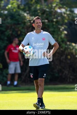 Frankfurt, Deutschland. August 2024. Dino Toppmoeller (Eintracht Frankfurt, Trainer), GER, Eintracht Frankfurt, Training, Fussball, Bundesliga, Saison 2024/2025, 15.08.2024. Foto: Eibner-Pressefoto/Florian Wiegand Credit: dpa/Alamy Live News Stockfoto