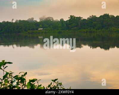 Fantastischer grüner Amazonas-Dschungel über der Jaguar Lagune (Onza Lagune).während der Sonnenaufgangszeit Amazonien. Brasilien. Südamerika Stockfoto