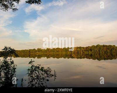 Fantastischer grüner Amazonas-Dschungel über der Jaguar Lagune (Onza Lagune). Amazonien. Brasilien. Südamerika Stockfoto