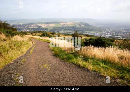 Blick vom Hügel in Glas-na-bradan-Holz newtownabbey, County antrim, Nordirland, großbritannien Stockfoto