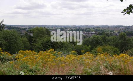 Der Glaskegel des Roten Hauses, der über Bäume und Vegetation hinter der Heiligen Dreifaltigkeit Kirche gesehen wird. Schwarzes Land. Wordlsey. West Midlands. UK 2024 Stockfoto