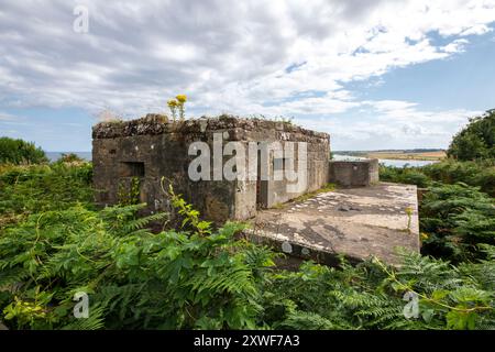 Batterie in Alnmouth Stockfoto