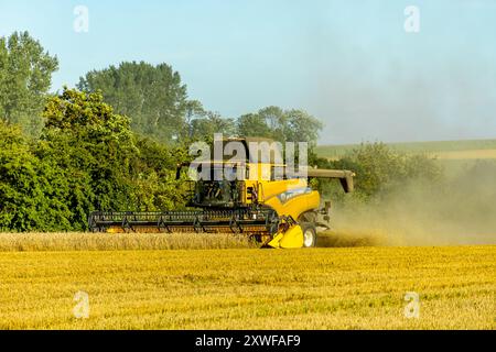 Beginn der Spätsommerernte im Weimarer Land bei Apolda - Thüringen - Deutschland Stockfoto