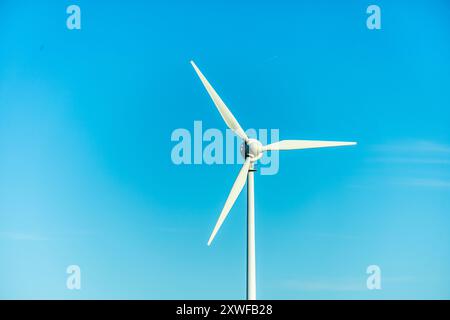 Beginn der Spätsommerernte im Weimarer Land bei Apolda - Thüringen - Deutschland Stockfoto