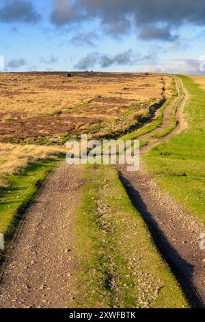 Eine Schotterstraße führt über das offene Moorland in den Yorkshire Dales. Ein unbefestigter Pfad schlängelt sich durch üppig grüne Felder, umgeben von trockenem Gras, unter einem Clo Stockfoto