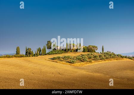 Asciano, Italien - 25. Juli 2023: Toskanische Landschaft. Einer der berühmtesten Orte in der Toskana, in der Nähe von Asciano (Siena). Italien Stockfoto